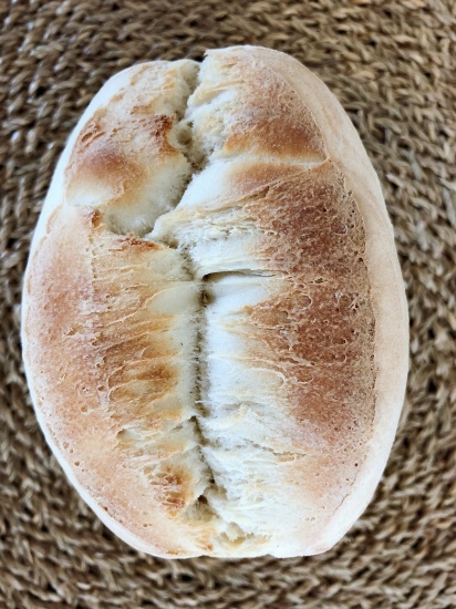 Ovales Brötchen mit konsistenter Kruste und weicher Krume. Typisch aus der mallorquinischen Bäckerei. Ideal für belegte Brötchen!